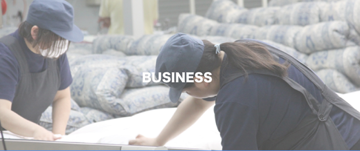ホップライオンジャパンの主な事業内容である羽毛ビジネスとソリューションビジネス、シェアマーケットビジネスについてお伝えします。