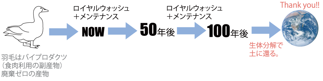 羽毛はバイプロダクツ（食肉利用の副産物）破棄ゼロの産物