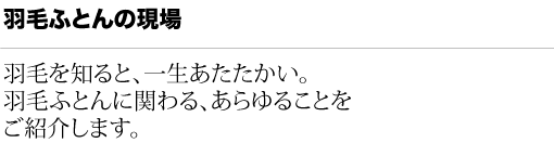 羽毛ふとんの現場